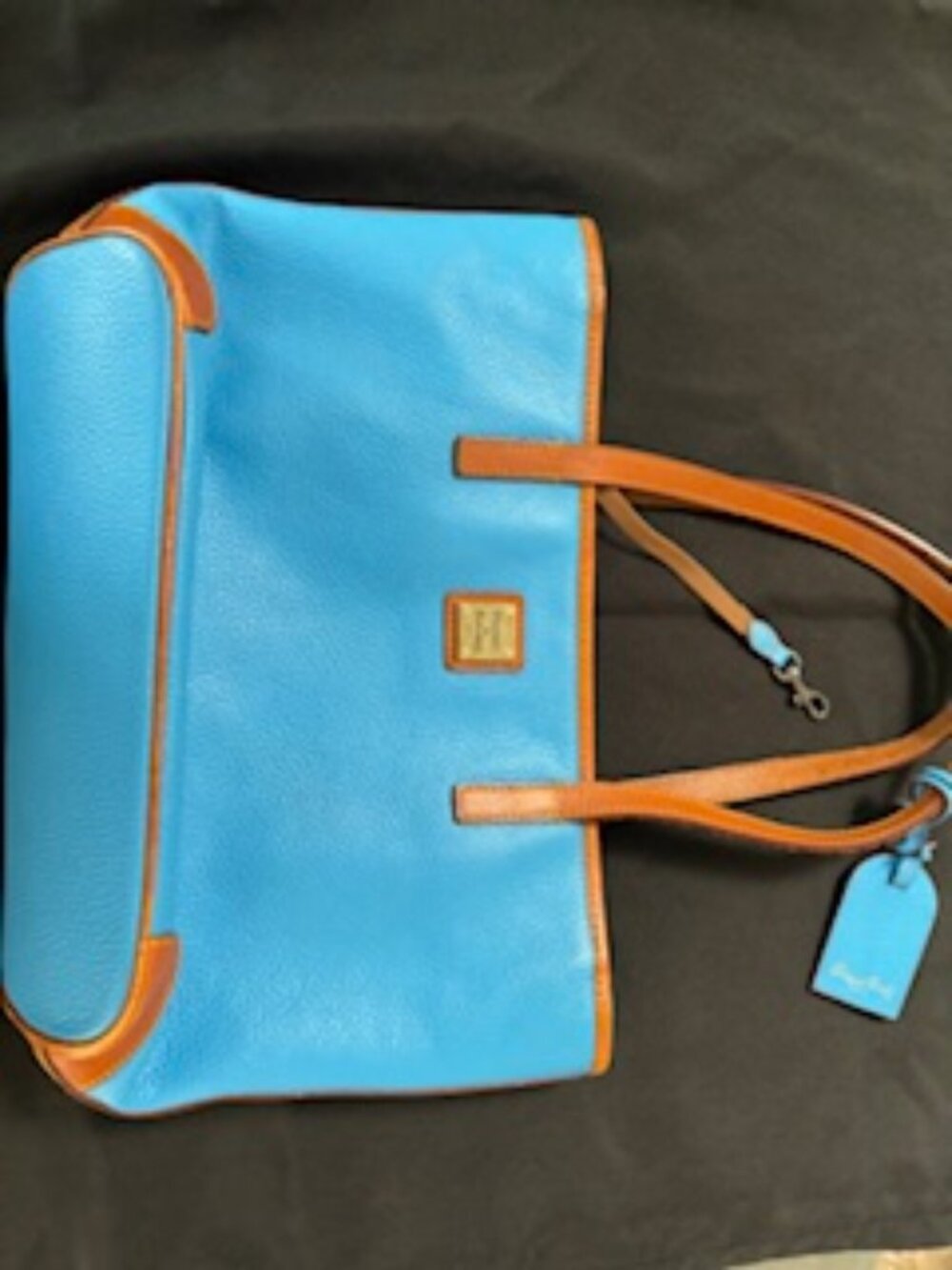 Sky Blue Dooney and Bourke Bag